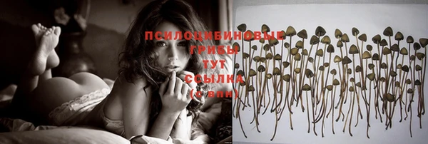 спиды Баксан