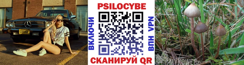 МЕГА Челябинск Псилоцибиновые грибы Magic Shrooms